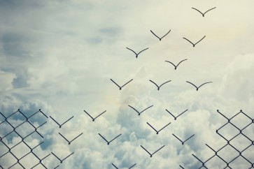 Mindful Living - introduction into mindfulness based approaches